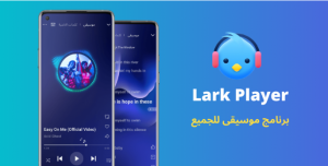 استمع إلى الموسيقى في وضع عدم الاتصال مجانًا باستخدام Lark Player