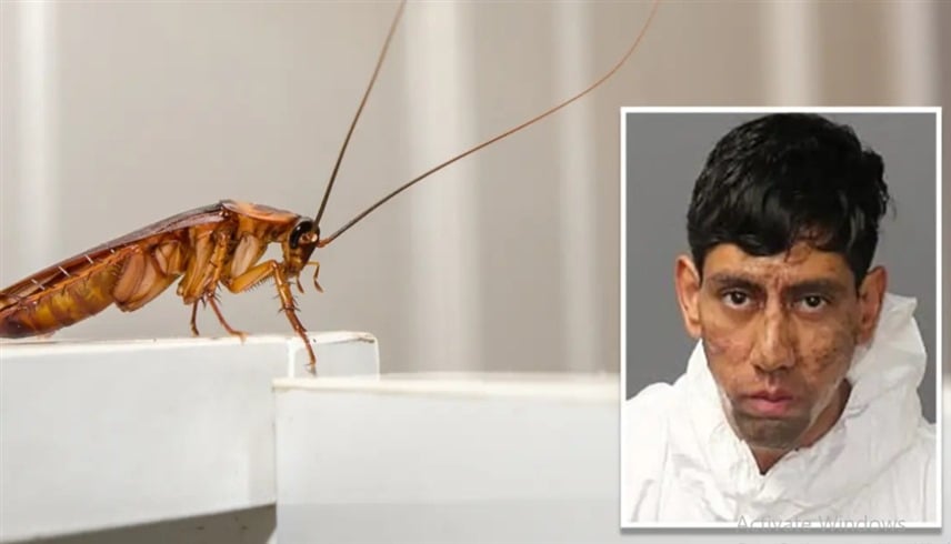 جريمة قتل غريبة  ..  عشريني ينهي حياة شخصين بسبب رسالة مشفرة من "صرصور"