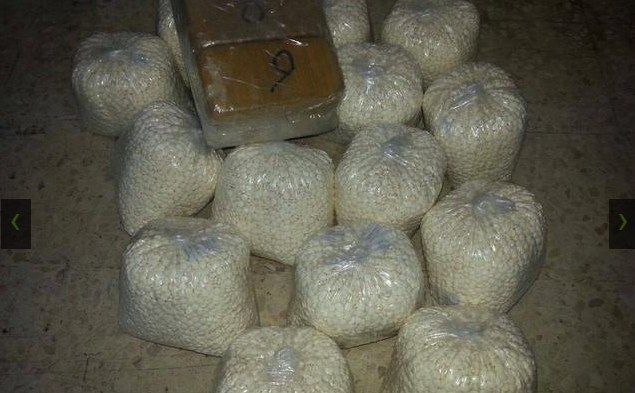 إفشال تهريب 3.5 كغم هيروين من العقبة عبر البحر  ..  صور