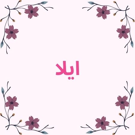 فادي العواملة يرزق بـ ايلا