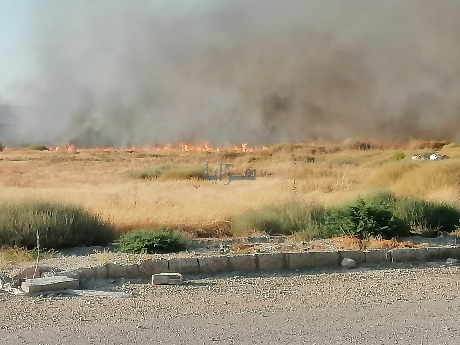 بالفيديو والصور ..  حريق كبير في منطقة وادي الريان بالاغوار الشمالية