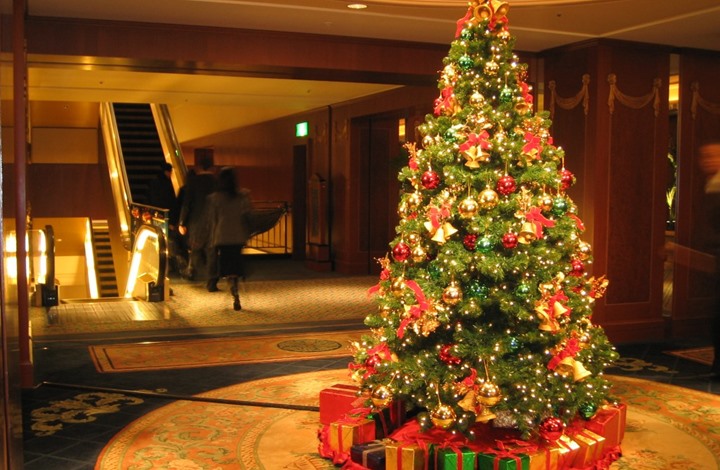 الاحتفال بإضاءة شجرة عيد الميلاد بالمغطس