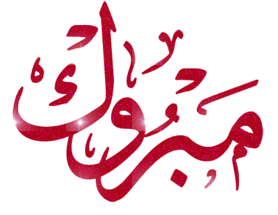  منير ابو شخيدم "مبارك"