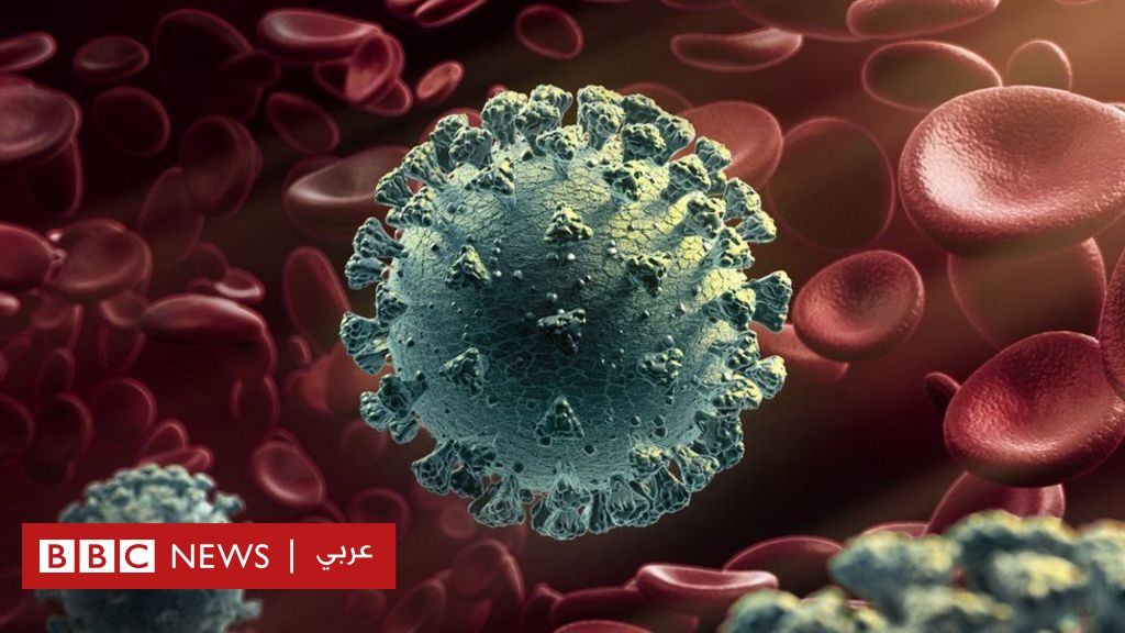 كيف نشأت سلالة فيروس كورونا الجديدة؟ هل هي أكثر فتكا؟ وما الذي نعرفه عنها حتى الآن؟