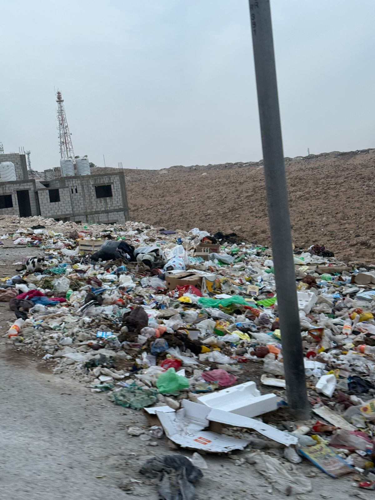 مشاهد صادمة لحجم النفايات المتراكمة في الزرقاء الغربية - صور 