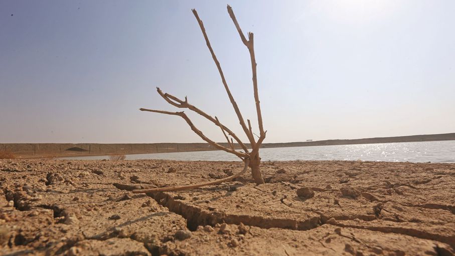 توقعات بنزوح 15 % من مزارعي الأردن نتيجة التغيرات المناخية