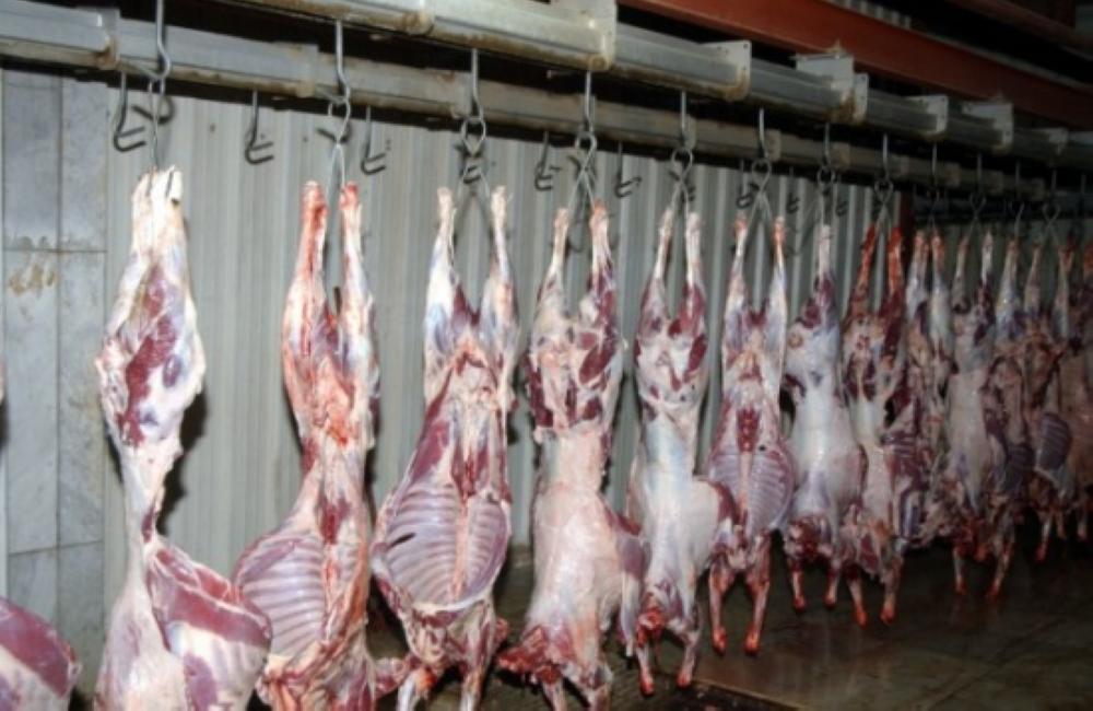 ارتفاع نسبة الطلب على اللحوم في مسلخ عمان 20%