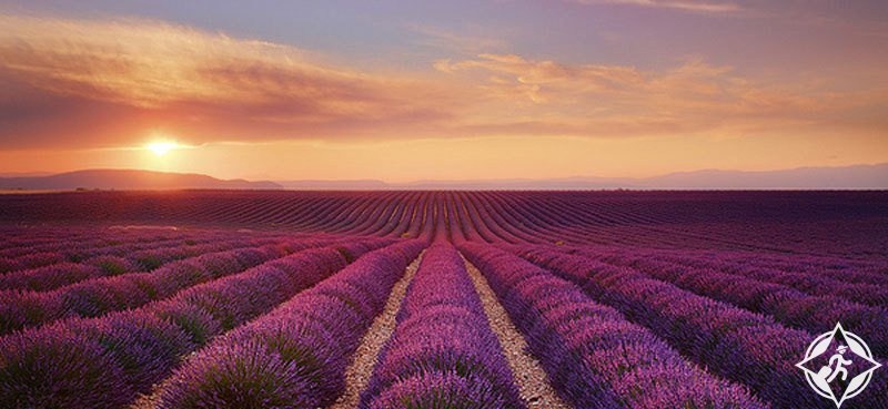 لماذ يجب عليك زيارة بروفانس الفرنسية هذا الربيع ؟..صور