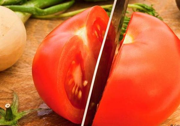 الطماطم – السبب الأساسى فى إنخفاض الوزن!!