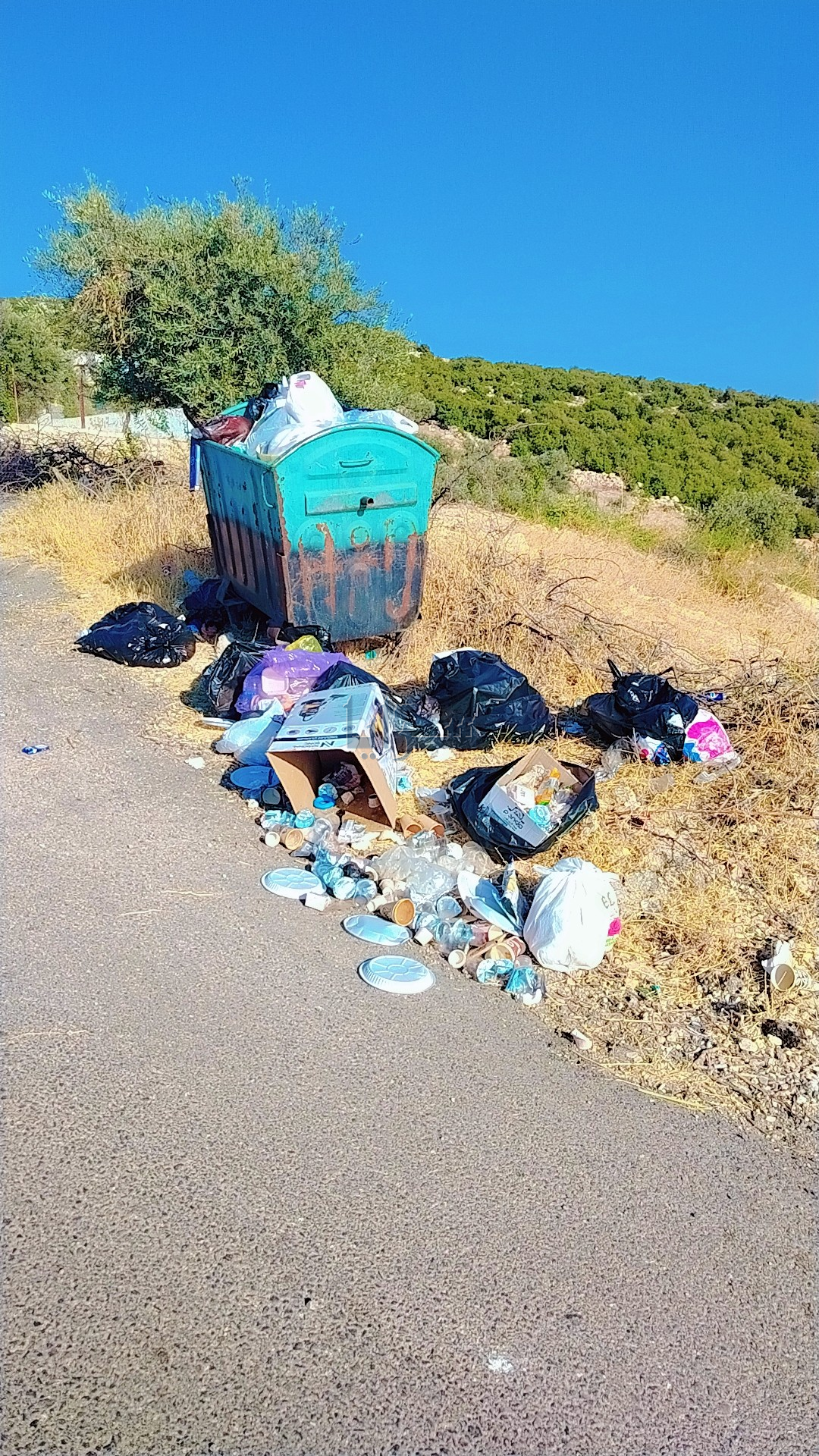مواطنون يشتكون تراجع مستوى النظافة في بلدية العيون بعد حل المجالس البلدية  ..  صور 
