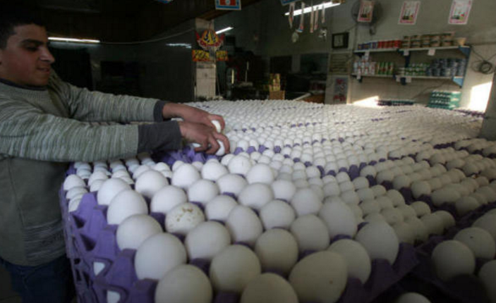 أسعار بيض المائدة ترتفع 30 % و"المستهلك" تدعو لتقليص الشراء