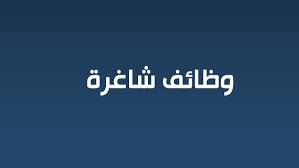 مطلوب مدير مبيعات في احدى الشركات السعودية 
