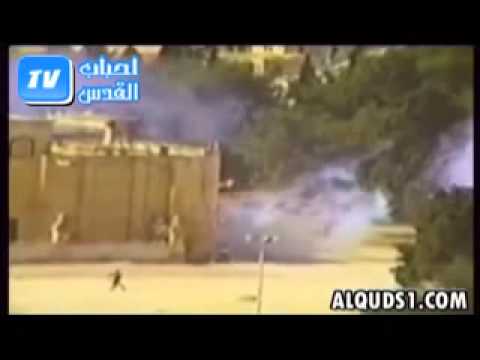 بالفيديو  ..  ساعة كاملة من الانتفاضة الفلسطينية الأولى 1987