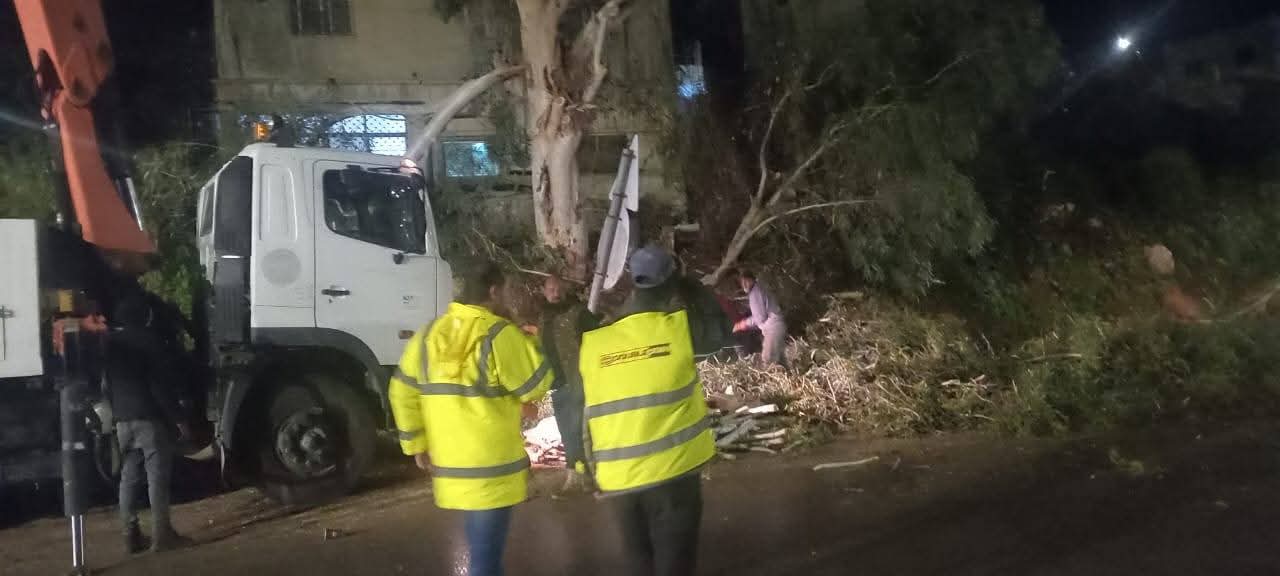 بلدية شرحبيل تتعامل مع سقوط شجرة بمسار طريق الأغوار الدولي