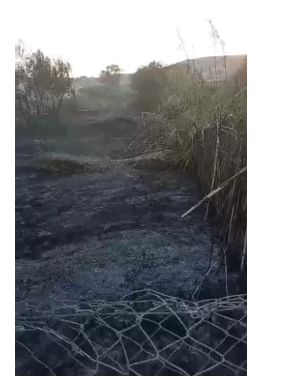 بالفيديو : حريق يمتد من داخل الأراضي المحتلة إلى الأراضي الأردنية في منطقة المشارع 