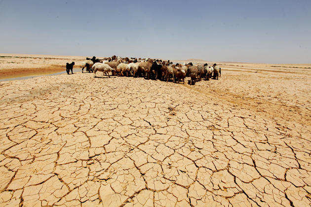 25 مليون دولار لتعزيز التكيف مع التغير المناخي بالأردن