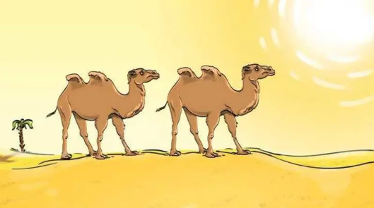 ماذا ينقص هذه الصورة؟ حاول التوصل للإجابة في 6 ثوان