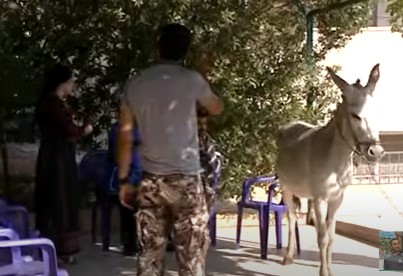 الكاميرا الخفية: شاورما جديدة من لحوم الحمير