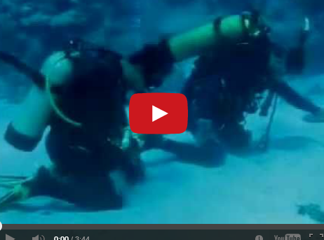 بالفيديو ..  شبان " غواصون "  يصلون جماعة تحت الماء 