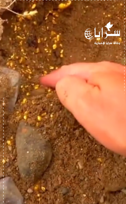 بالفيديو ..  رجل يعثر على ذهب خام بالصدفة أثناء الحفر
