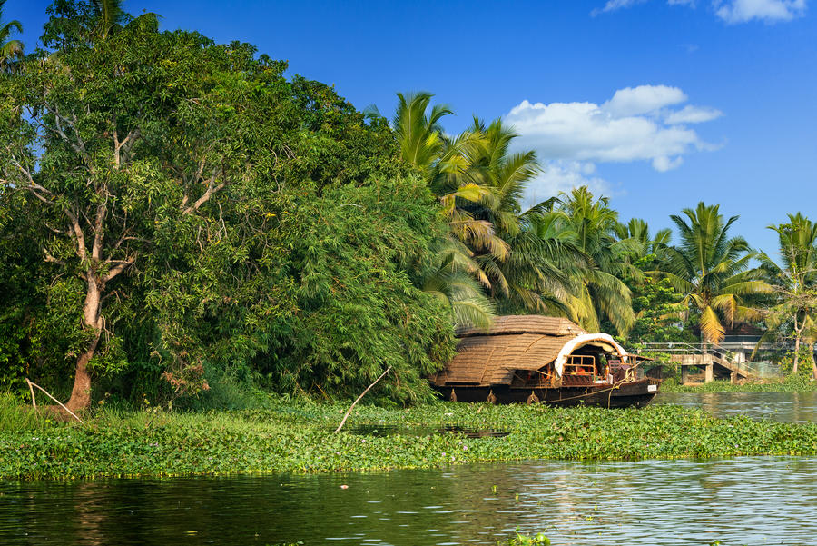 أهم المعلومات قبل سفرك إلى ولاية كيرالا الهندية