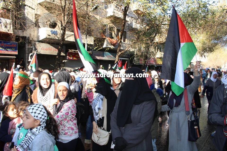 saraya news