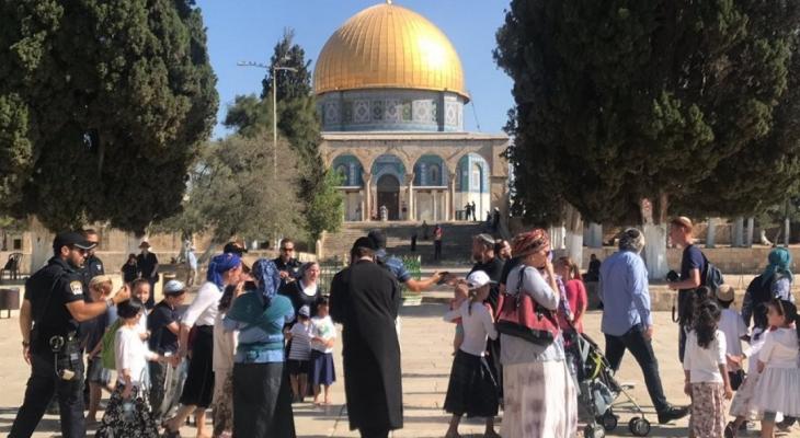 84 مستوطنًا يقتحمون المسجد الأقصى