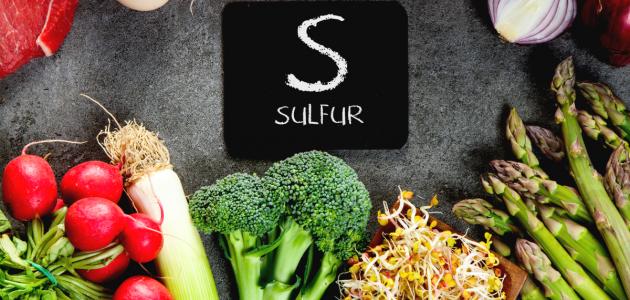 أهم مصادر الكبريت الغذائية وفوائدها الصحية