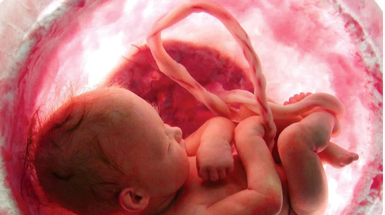 الامارات  ..  100 ألف درهم تعويضاً عن «فرصة لم تُمنح» لجنين متوفى