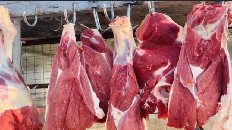 بعد الجدل ..  الجمارك تكشف تفاصيل شحنة اللحوم على الحدود