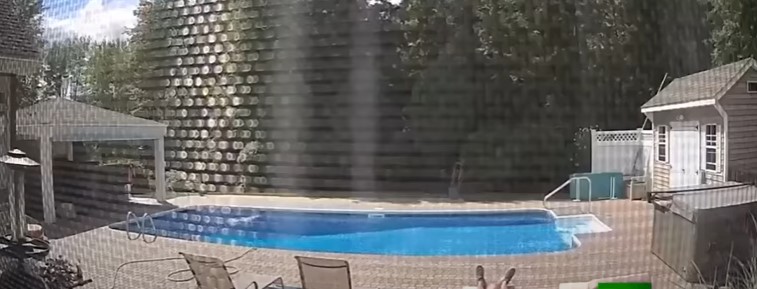 مشهدٌ طريف  ..  دبٌّ يوقظ رجلاً من قيلولته أمام المسبح  ..  فيديو