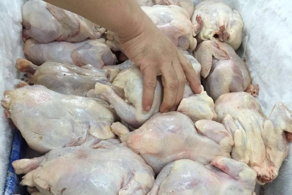 ضبط وإتلاف 200 كغم من الدجاج غير الصالح للاستهلاك البشري في المفرق