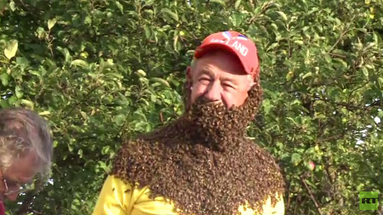 بالفيديو ..  ما هي أفضل لحية من النحل ؟