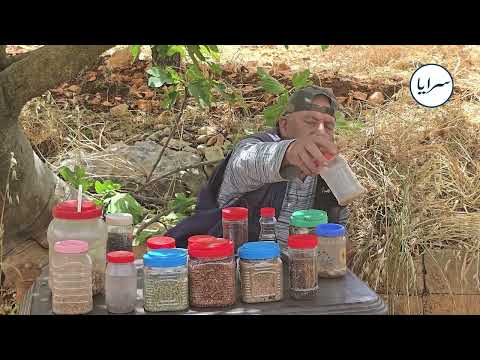 مواطن سبعيني من عجلون يحافظ على كنز نباتي نادر.. ما سر اهتمامه ببذور نادرة لا يعرفها كثيرون؟