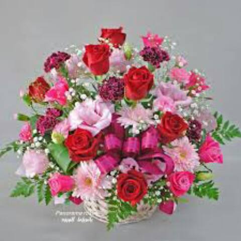 حجم رسالة دكتوراه في ماليزيا