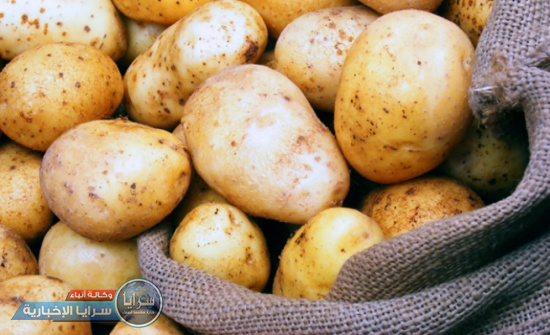 مدير عام اتحاد المزارعين "ينسف" عبر "سرايا" تصريحات وزارة الزراعة حول انخفاض كميات البطاطا في السوق 