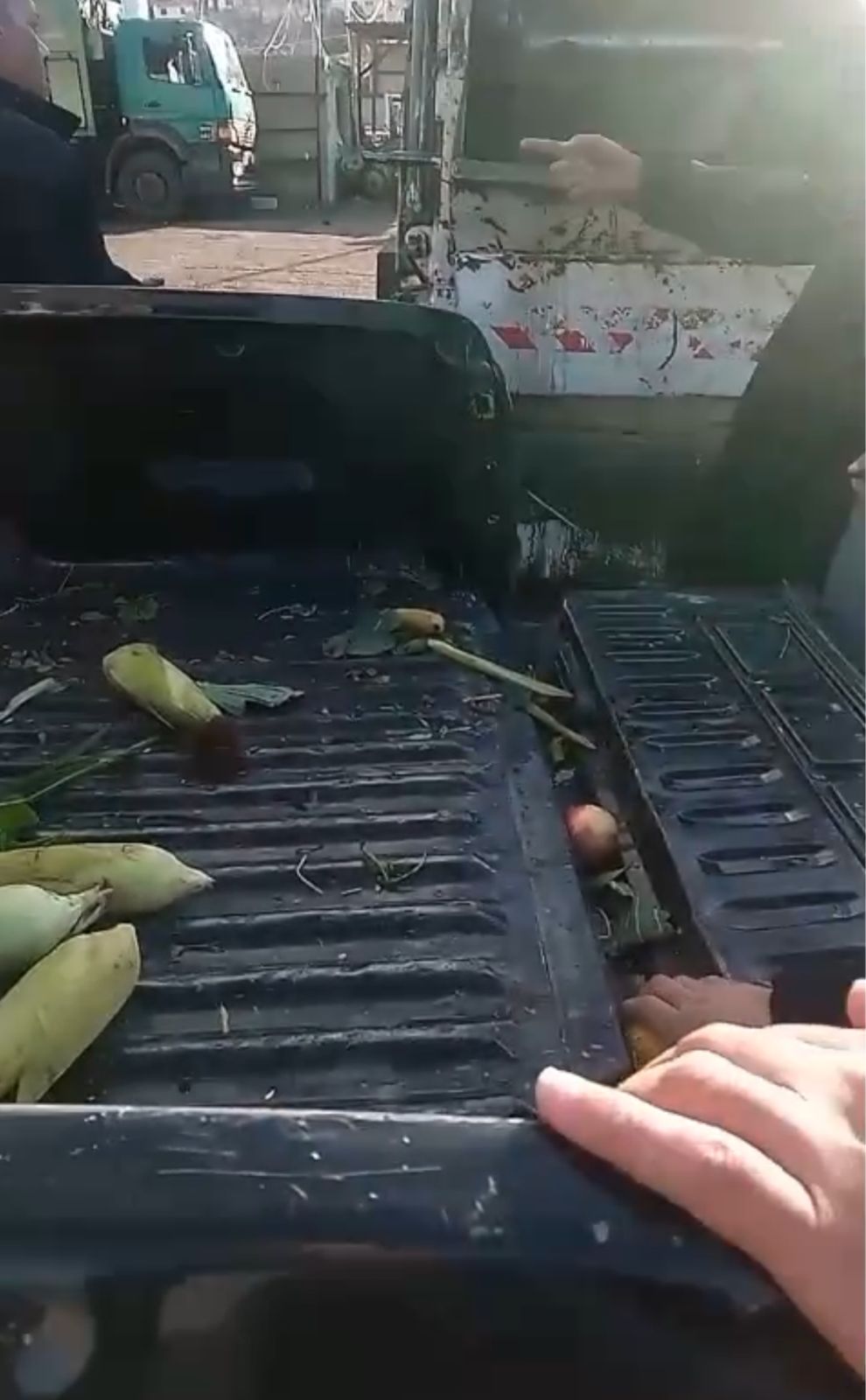 بالفيديو :  بلدية تصادر بسطات خضار وفواكه وتُتلفها عبر ضاغطة نفايات