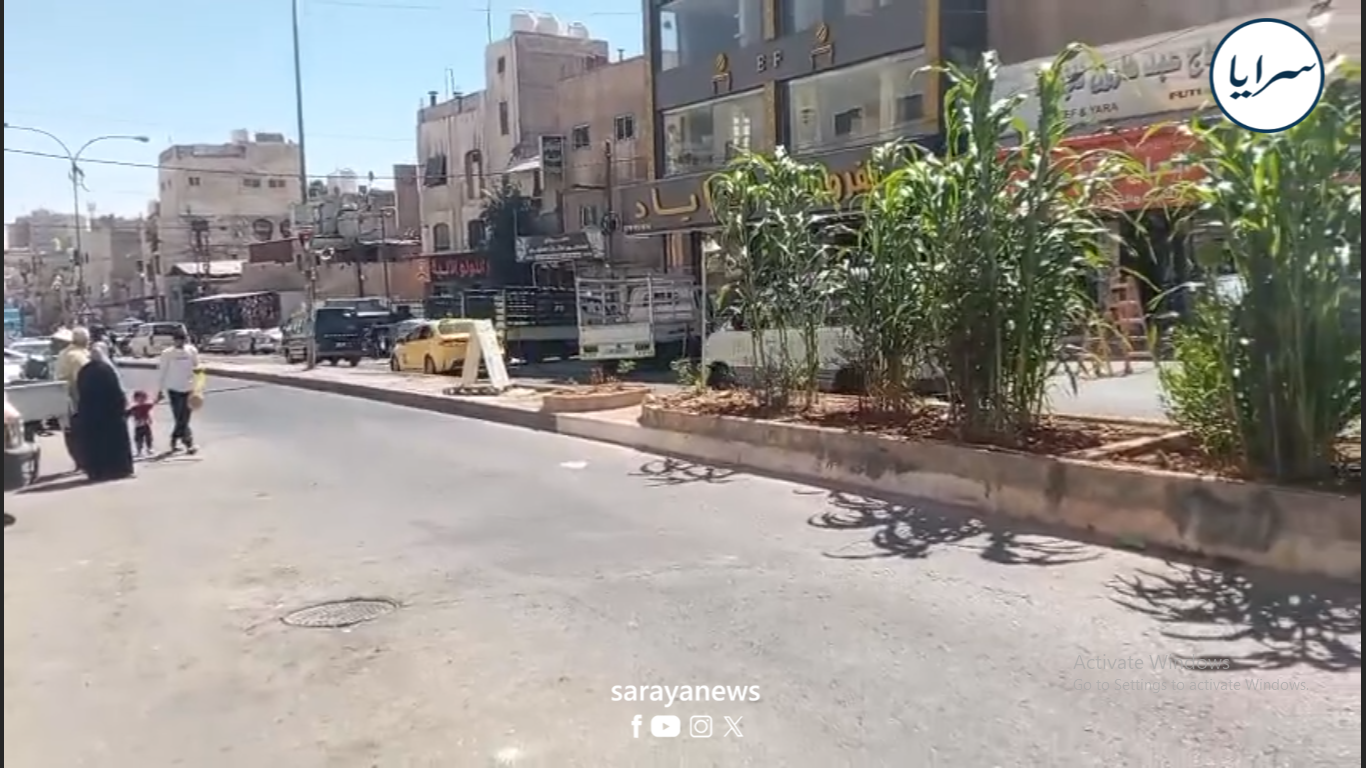 مواطنون يستهجنون إنذارات الأمانة بإزالة أشجار زرعوها في شارع الأردن  ..  فيديو 