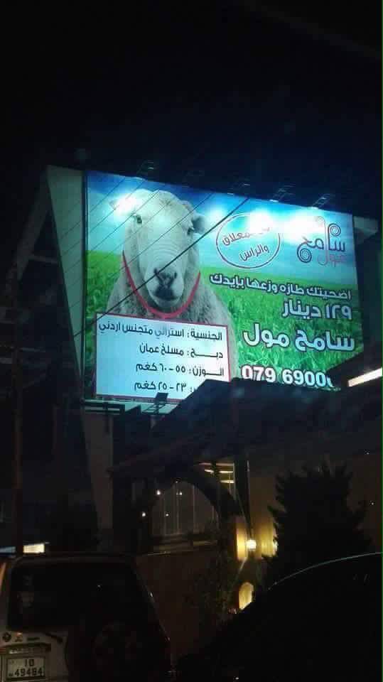 انتقادات لاذعة لسامح مول بعد نشر اعلان لخروف يسخر من الجنسيه الاردنيه