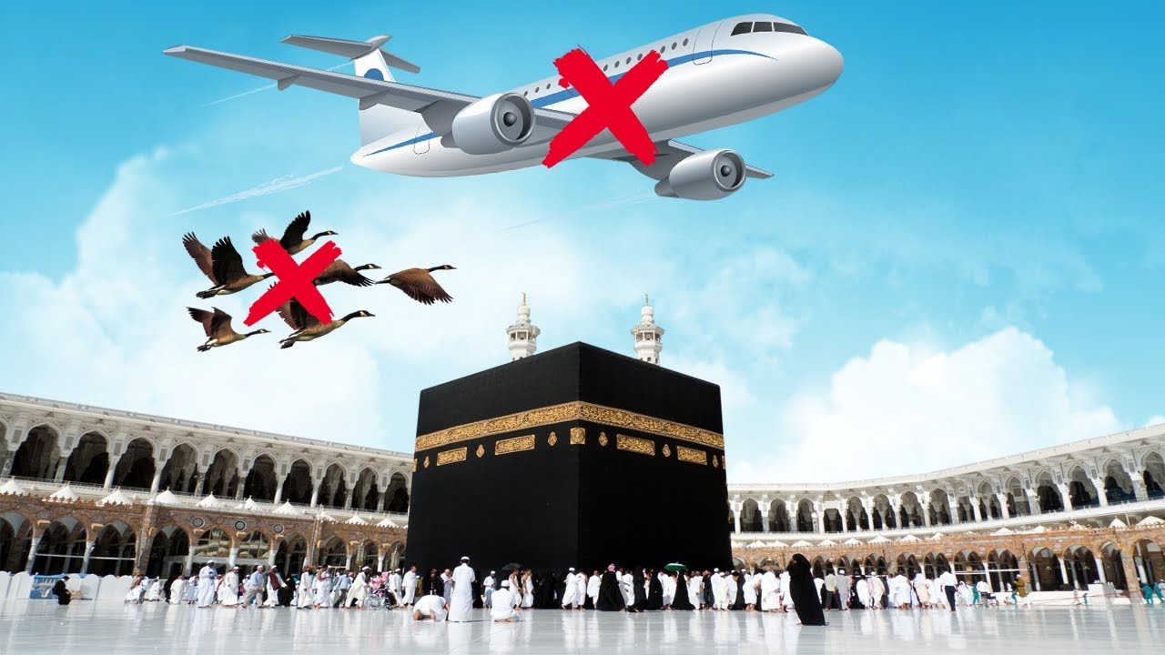 بالفيديو .. هل تعلم ما السر وراء عدم تحليق الطائرات والطيور فوق الكعبة المشرفة؟