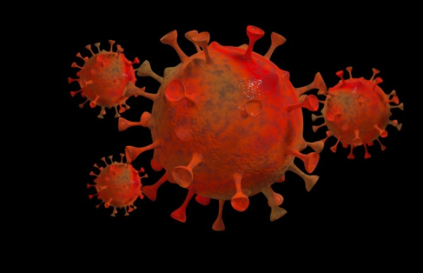 عالم مناعة: مقبلين على المرحلة الأسوأ من الوباء بسبب (كوفيد-22)