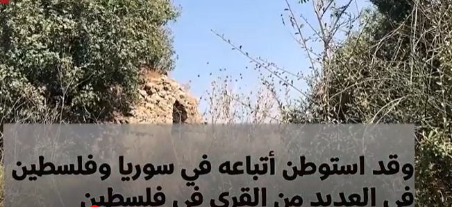 بالفيديو ..  تعرفو على قرية الهوشة المهجرة قضاء حيفا