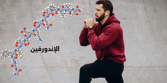 تعرف على الإندورفين  ..  هرمونات طبيعية يفرزها جسمك لتشعر بالسعادة والراحة