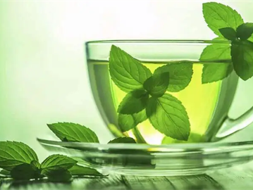 ماء النعناع .. التغذية والفوائد والسلبيات