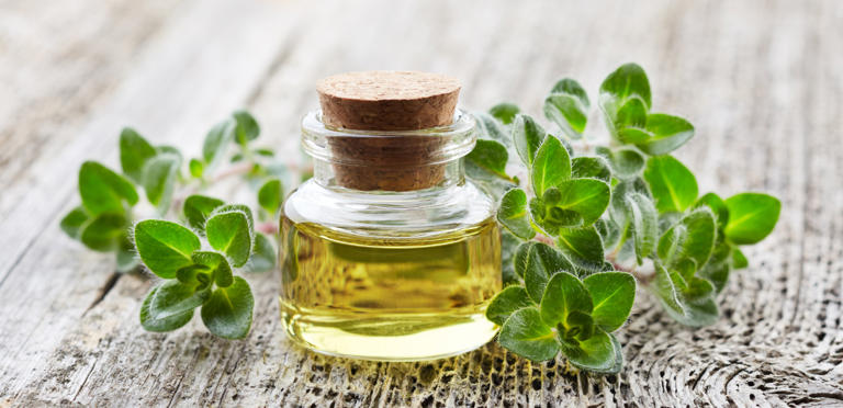 بديل المضادات الحيوية؟ طرق طبيعية لدعم مناعتك في رمضان بدون أدوية