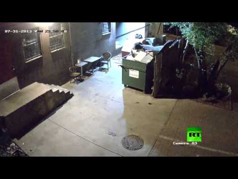 بالفيديو.. دب يتسلل ليلاً ويسرق حاوية قمامة