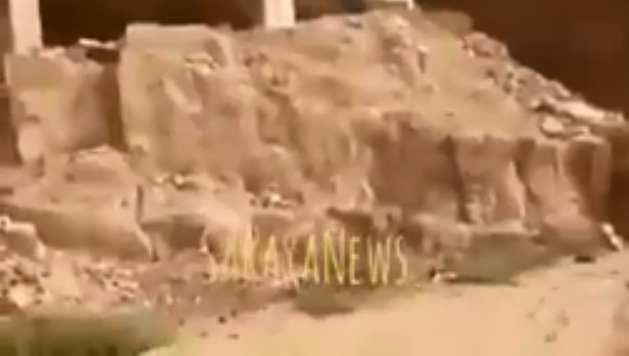 بالفيديو: لحظة مداهمة السيول بـ "حادثة البحر الميت" وجرف احد الاشخاص