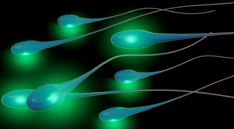 فضيحة طبية في أوروبا ..  استخدام حيوانات منوية لمتبرع يحمل طفرة سرطانية لإنجاب نحو 200 طفل