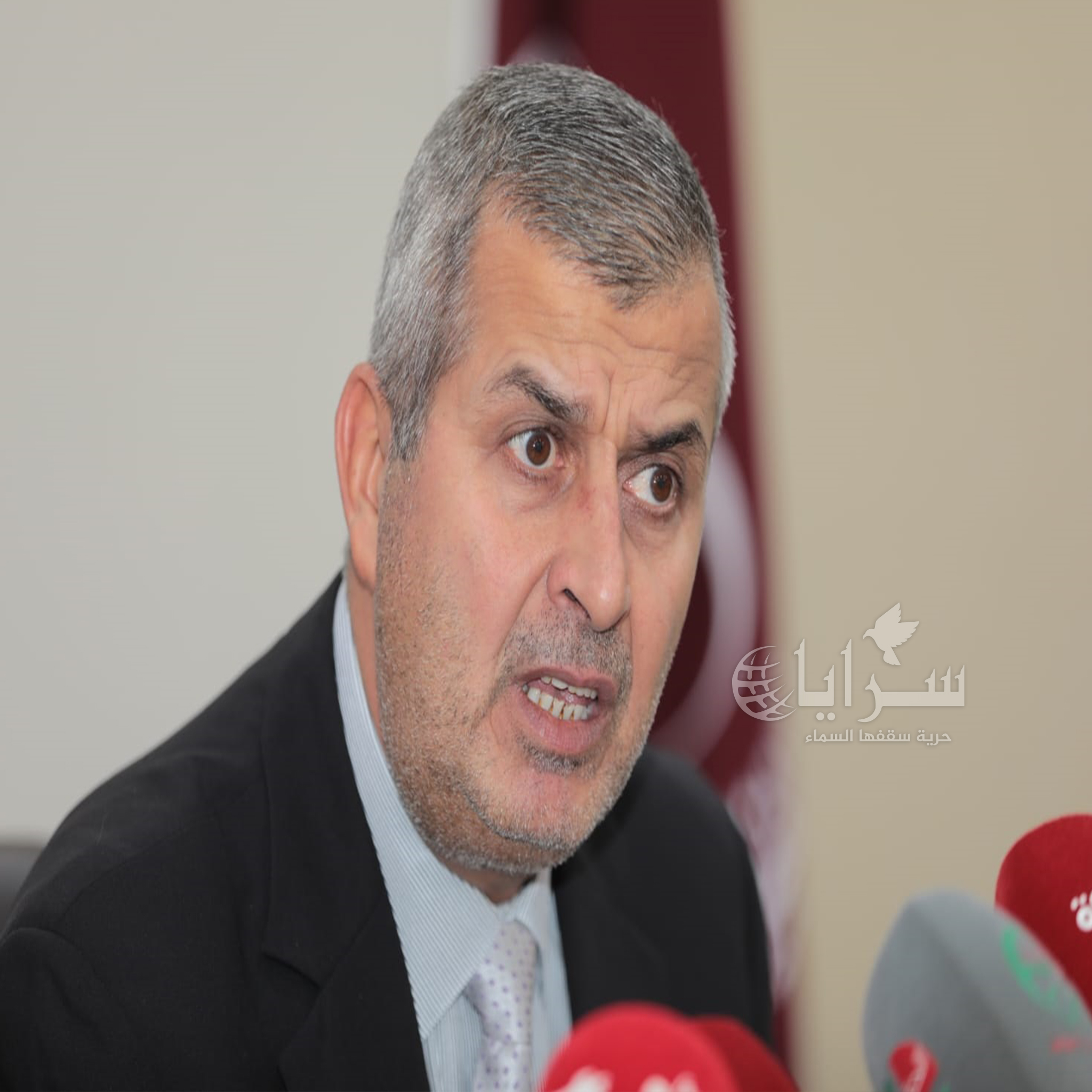 الخرابشة: دعم بنسبة 30% لتركيب 4 آلاف نظام خلايا شمسية للقطاع المنزلي