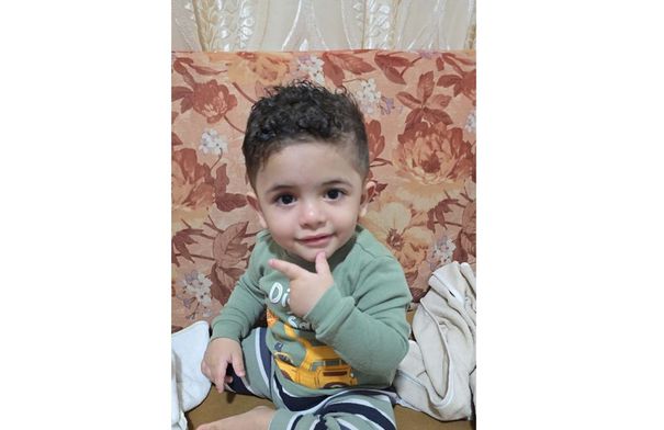 حشرة " ذباب الرمل السوداء" تقتل طفلًا في عمّان 
